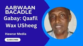 Abshir nuur faarax (bacadle) AUN // qaafil wax u sheeg