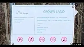 Crown Land Trail - Petersburg, ON