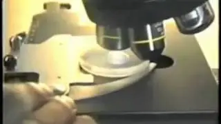 Dr Masaru Emoto Hado Water Crystals Full Documentary