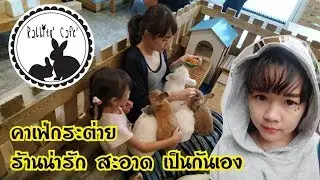 1 Day Trip คาเฟ่กระต่าย Rabbito Caf&eacute; by MeFaBaKa