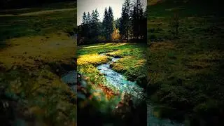 🇩🇪 EBERTSWIESE - 31 km Rundwanderung Rennsteig Bergsee Tambach Dietharz Th&uuml;ringer Wald #shorts