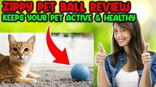 🐙 Zippy Pet Ball Review 🐱 Engaging Smart Ball for your Pet at Home 🔥 Zippy Pet Smart Ball Reviews