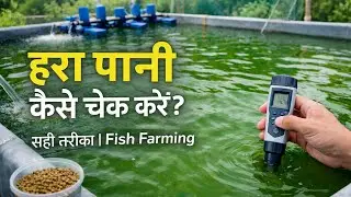 हरा पानी कैसे चेक करें? | Fish Farming में हरे पानी की सही जांच #fishfarming#machlipalan#greenwater
