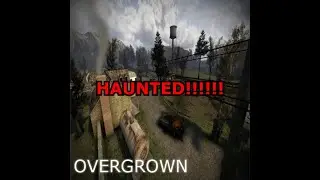 strange ghost sightings on gm_overgrown...
