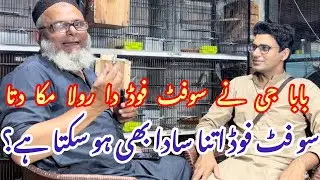 Best soft food for lovebirds