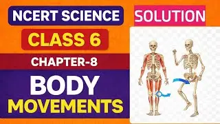 NCERT SCIENCE CLASS-6TH  | CHAPTER-8TH | EXERCISE and SOLUTION | BODY MOVEMENTS #ncert