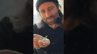 &lsquo;Insect Bite&rsquo; - a new song by Husky Gawenda 🍃
