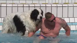 Doggyplons in het Beverbad