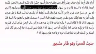 Prophet MUHAMMAD (pbuh) and the DONKEY