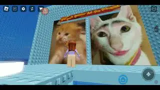 cat tower 😺