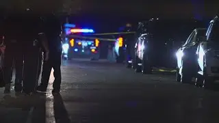 Suspect shot by Garland officers after chase has died, police say