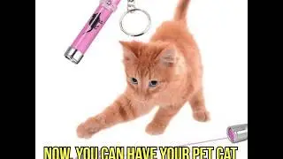 Interactive LED Laser Pointer Pen With Bright Animation for cats | Petshipnow.com