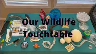 Our Wildlife Touchtable