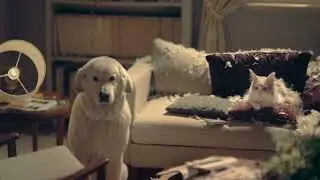 Nel nuovo spot Coop il carrello diventa il migliore amico di cani e gatti