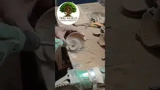 coconut shell cleaning
