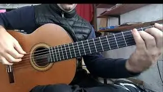 Zapateando en Curuz&uacute; (Pocholo Air&eacute;) - Mauricio Guastavino