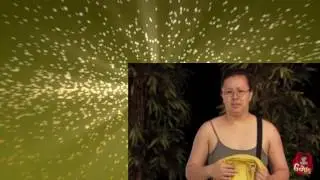 V&Iacute;DEOS ENGRA&Ccedil;ADOS E PICANTES DO WHATSAPP 2016   Pra Morrer De Rir EP38 720p 30fps H264 192kbit AAC