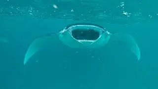 HANIFARU BAY