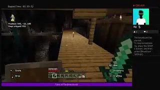 Minecraft Day 329  
