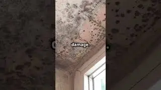 Prevent Water Damage to Your Home FAST!