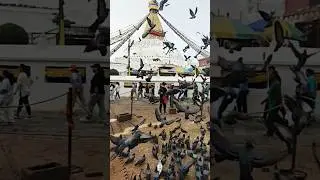 om mane peme hom. bauda stupa visit