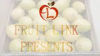 Fresh Lemons from Egypt by Fruit Link
