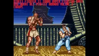 Street Fighter II Turbo Hyper Fighting SNES Ryu Hoshi All Perfect Rounds Volume 2 (Europe)