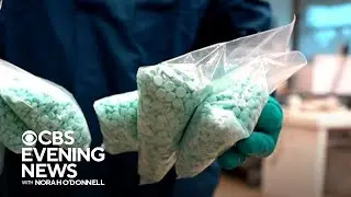 DEA cracking down on pill presses