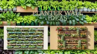 Transform Your Wall into a Living Art Masterpiece! Upcycled Planter DIY