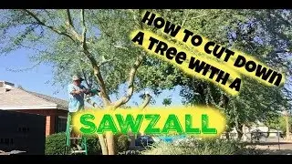 How to cut down a tree and stump with a reciprocating saw or sawzall