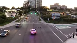 Cop Quacks at Crossing Geese || ViralHog