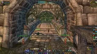 How to learn Expert First Aid (150 - 225 skill) (Alliance), WoW Classic