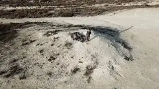 XLV en acción ACLOG AGBS