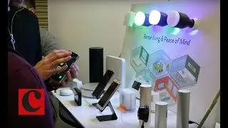 Is cheaper Internet of Things tech challenging bigger brands?
