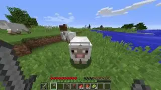 I am playing a old version of minecraft 