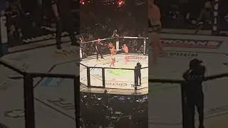 Pereira With A Flying Knee KO In UFC Debut!