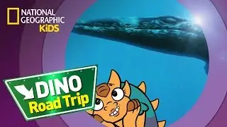 Tylosaurus | Dino Road Trip