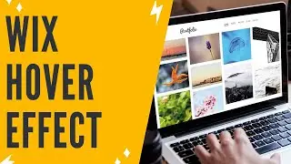 Wix Hover Effects For Images: The Full Tutorial
