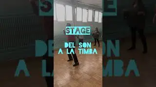 DEL SON A LA TIMBA - Lorenys y Manolo