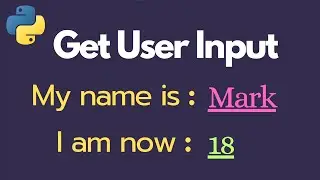 How to Get User Input in Python (very easy) 🐍