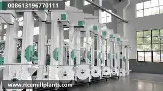 TDTG Bucket Elevator Conveyor | Continuous Bucket Elevator for Sale #bucketelevator #bucketconveyor
