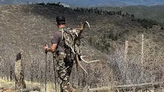 Colorado shed opener 2023