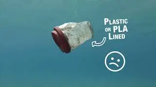 Plastic and PLA lined cups :-(