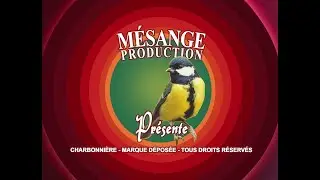 Les mésanges, épisode 12 : jour 2