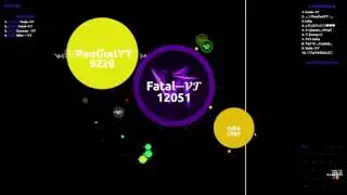 AGAR.IO // SAT tournament round - Vitality vs Team Ogario