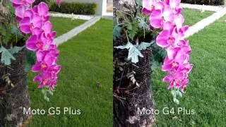Moto G5 Plus vs Moto G4 Plus Camera Test