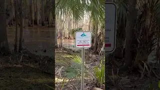 Completed our longest hike yet!  #shorts #shortsvideo #hiking #adventure #florida