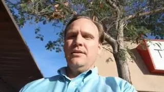Home Scorpion Remedies - Scorpions in the Trees? Phoenix / Scottsdale Naturzone Pest Control