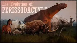 Эволюция носорогов и лошадей 🦏🐴