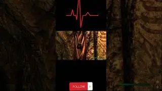 Тёмное Братство Вечно🖐🏿 #skyrim #rp #letsplay #follow #like #gamelive #gameplay